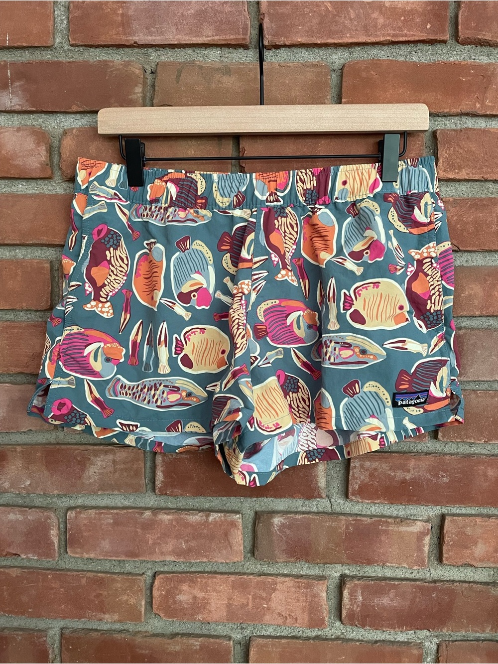 Patagonia Barely Baggies 2.5” Shorts M Wrasse Wetland Blue Fish Print